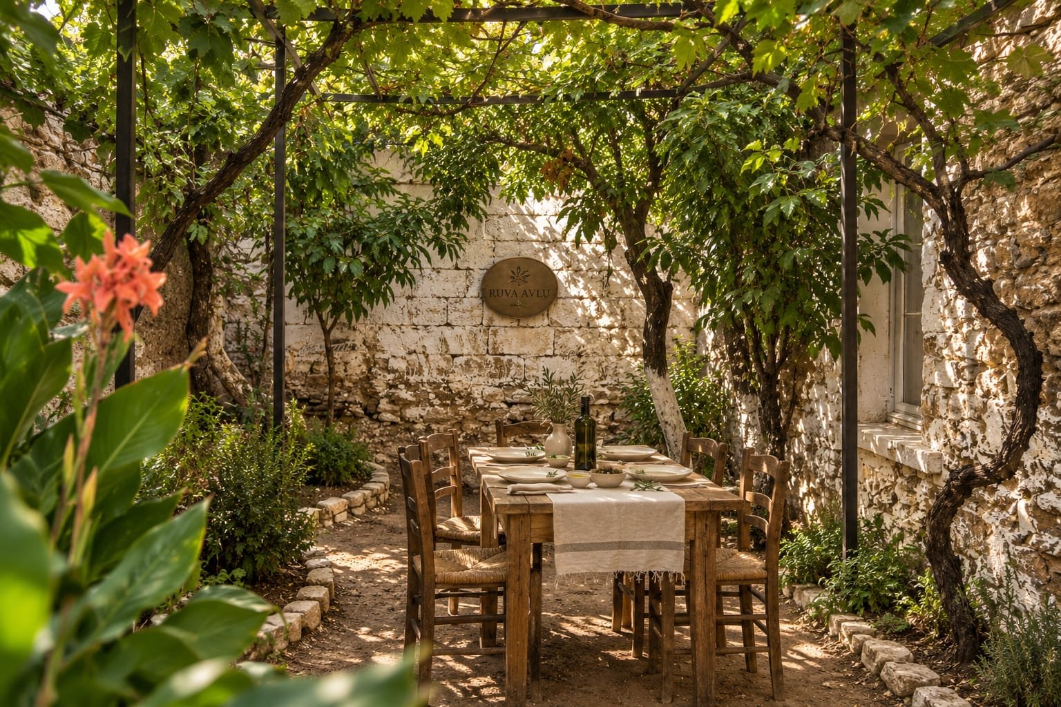 Aydın Ege kırsalında taş ev ve zeytin ağaçları